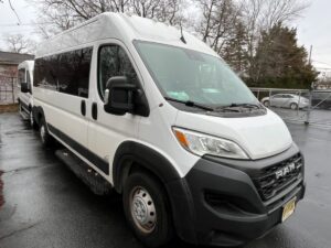 White Ram ProMaster with Other Rear Entry Automatic Fold Out conversion
