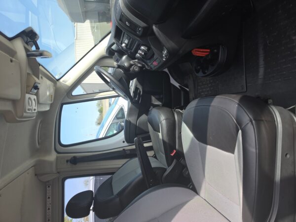 White Ram ProMaster with Driverge Rear Entry Automatic Fold Out conversion