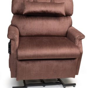 lift chair color Palomino