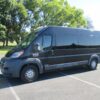 Black Ram ProMaster with Other Rear Entry Manual Fold Out conversion