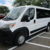White Ram ProMaster with Other Rear Entry Automatic Fold Out conversion