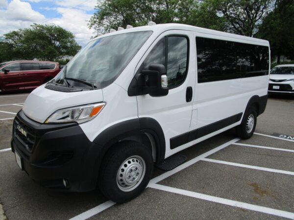 White Ram ProMaster with Other Rear Entry Automatic Fold Out conversion