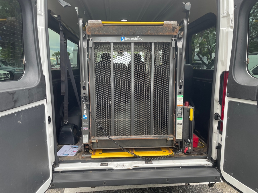 White Ram ProMaster with Other Rear Entry Automatic Fold Out conversion