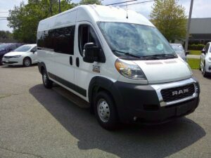 White Ram ProMaster with Other Rear Entry Automatic Fold Out conversion