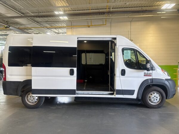 White Ram ProMaster with Other Rear Entry Automatic Fold Out conversion