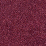 Tucker: Shiraz
