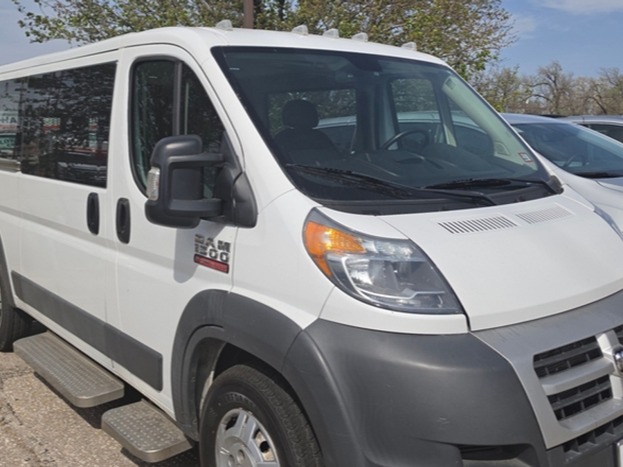 White Ram ProMaster with Driverge Rear Entry Automatic Fold Out conversion