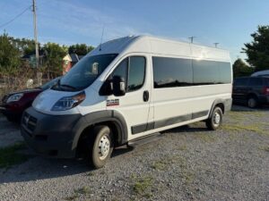 White Ram ProMaster with Other Rear Entry Automatic Fold Out conversion